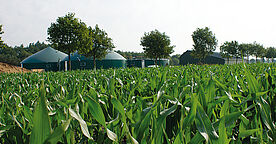 News Feld