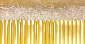 News Filtration